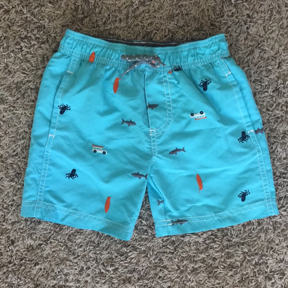 NWOT Never worn! Carters embroidered swim trunks